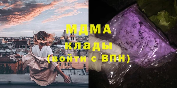 стаф Вязьма